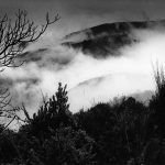 Charla Presentación