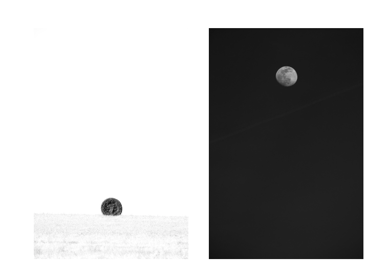 ©Carlos Molina Novoa